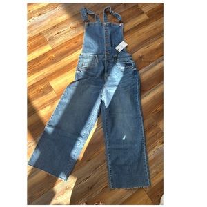 Judy Blue Blue Denim Overalls with Distressed Wash